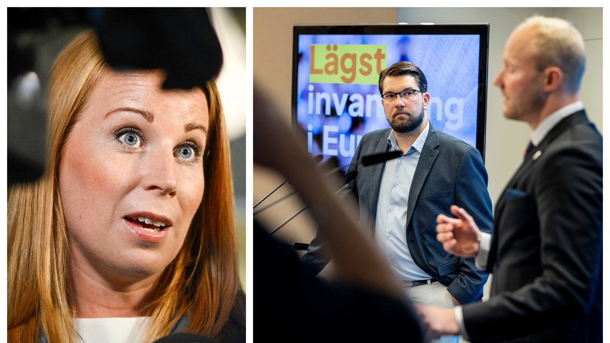 Sverigedemokraternas asylförslag har fått flera andra partier att reagera.